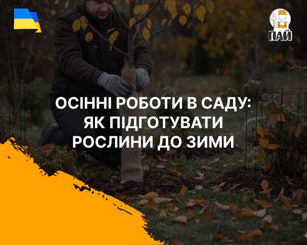 Осенние работы в саду: как подготовить растения к зиме
