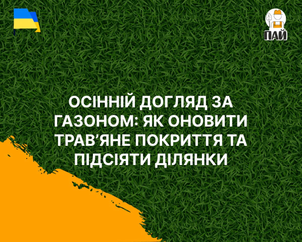 Осенний уход за газоном: как обновить травяной покров и подсеять участки