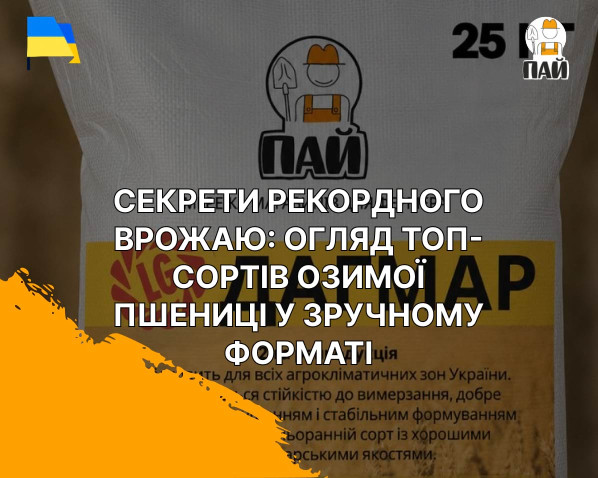 Секрети рекордного врожаю: Огляд топ-сортів озимої пшениці у зручному форматі