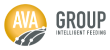 AVA GROUP
