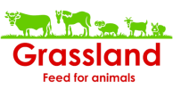 GRASSLAND