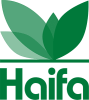 Haifa