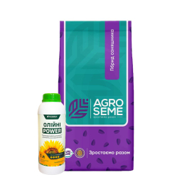 Агро Семе НС Х 6749 Сумо