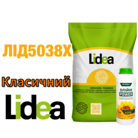 Lidea ЛИД5038 Классический