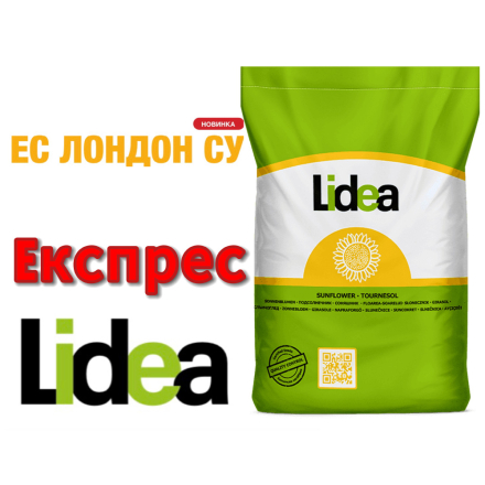 Лідеа Лондон СУ Express®