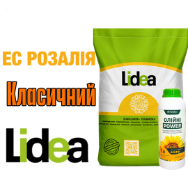 Lidea Розалия ЕС Классический