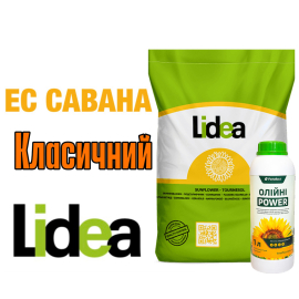 Lidea Савана ЕС Классический