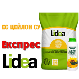 Lidea Цейлон ЕС Express®