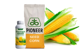 Насіння кукурудзи P9985 (П9985)