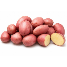 Насіннєва картопля Торнадо (елітна, яскраво-малинова, високоврожайна)