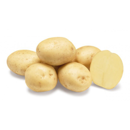 Насіннєва картопля Рів'єра (надрання "сорокоденка")