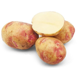 Насіннєва картопля Пікассо (високоврожайна, пізня, "Рожеві вічка")