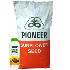 Насіння соняшника P63ЛЛ209