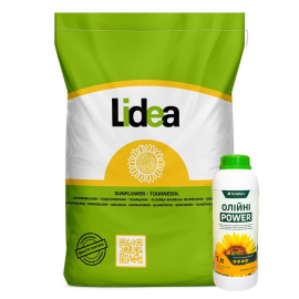 Lidea Слава ЕС Классический