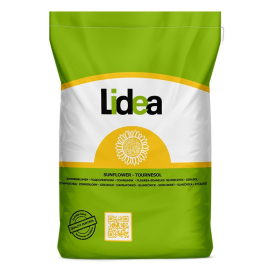 Lidea Слава ЕС Классический