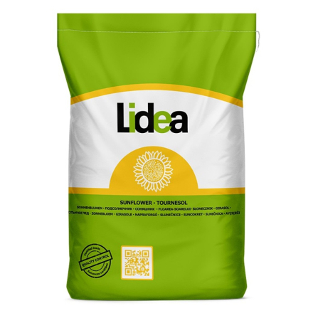 Lidea Слава ЕС Классический