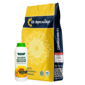 Семена подсолнечника НС Х 8002 2024 год