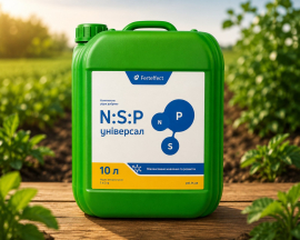NSP 