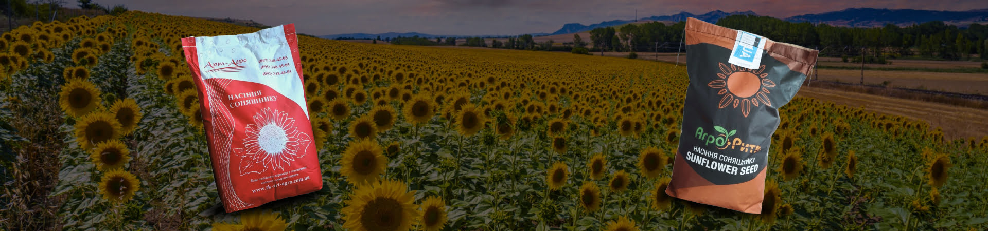 Посівмат соняшника